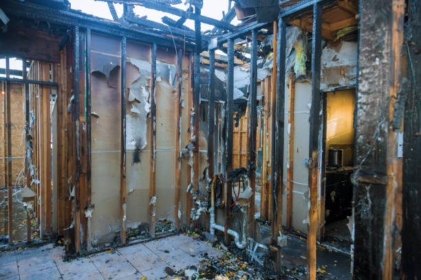 Professional Structural Rebuild technician working in Jefferson, MD